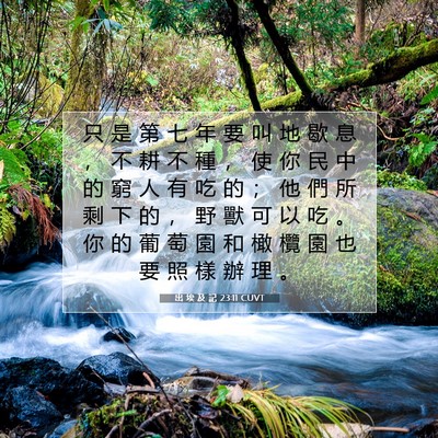 Picture 07 - 出 埃 及 記 23:11 CUVT - 只 是 第 七 年 要 叫 地 歇 息 ， 不 - Bible Verse Picture