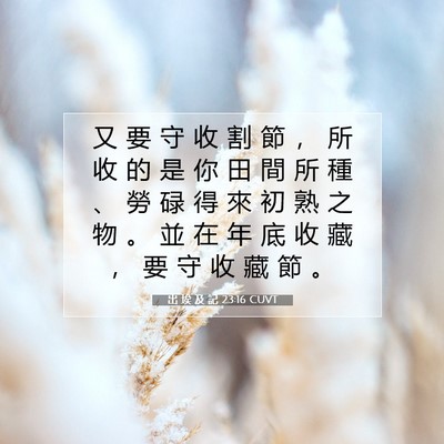 Picture 07 - 出 埃 及 記 23:16 CUVT - 又 要 守 收 割 節 ， 所 收 的 是 你 - Bible Verse Picture