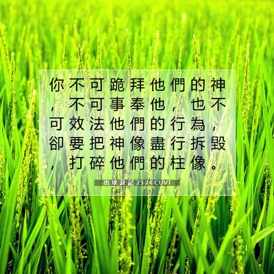 Picture 07 - 出 埃 及 記 23:24 CUVT - 你 不 可 跪 拜 他 們 的 神 ， 不 可 - Bible Verse Picture
