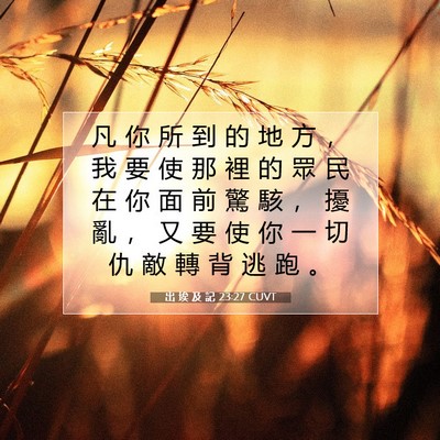 Picture 07 - 出 埃 及 記 23:27 CUVT - 凡 你 所 到 的 地 方 ， 我 要 使 那 - Bible Verse Picture
