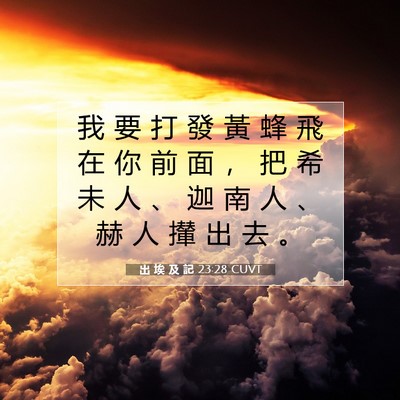 Picture 07 - 出 埃 及 記 23:28 CUVT - 我 要 打 發 黃 蜂 飛 在 你 前 面 ， - Bible Verse Picture