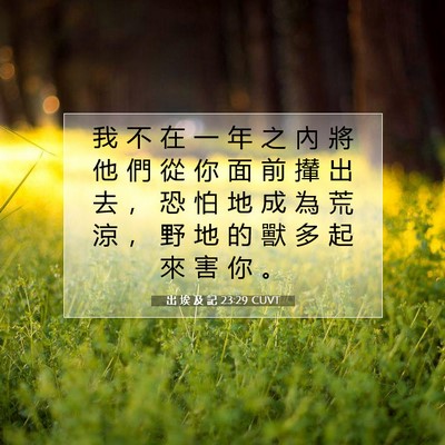Picture 07 - 出 埃 及 記 23:29 CUVT - 我 不 在 一 年 之 內 將 他 們 從 你 - Bible Verse Picture