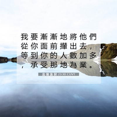 Picture 07 - 出 埃 及 記 23:30 CUVT - 我 要 漸 漸 地 將 他 們 從 你 面 前 - Bible Verse Picture