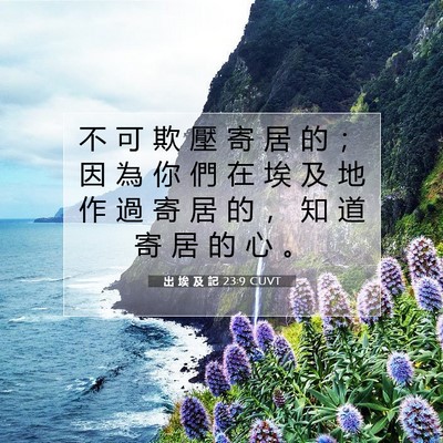 Picture 07 - 出 埃 及 記 23:9 CUVT - 不 可 欺 壓 寄 居 的 ； 因 為 你 們 - Bible Verse Picture