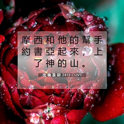 Picture 07 - 出 埃 及 記 24:13 CUVT - 摩 西 和 他 的 幫 手 約 書 亞 起 來 - Bible Verse Picture