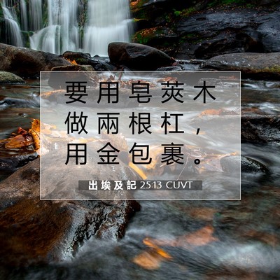 Picture 07 - 出 埃 及 記 25:13 CUVT - 要 用 皂 莢 木 做 兩 根 杠 ， 用 金 - Bible Verse Picture