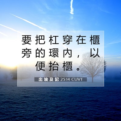 Picture 07 - 出 埃 及 記 25:14 CUVT - 要 把 杠 穿 在 櫃 旁 的 環 內 ， 以 - Bible Verse Picture