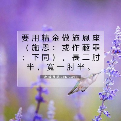 Picture 07 - 出 埃 及 記 25:17 CUVT - 要 用 精 金 做 施 恩 座 （ 施 恩 ： - Bible Verse Picture