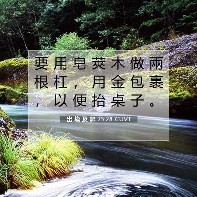 Picture 07 - 出 埃 及 記 25:28 CUVT - 要 用 皂 莢 木 做 兩 根 杠 ， 用 金 - Bible Verse Picture
