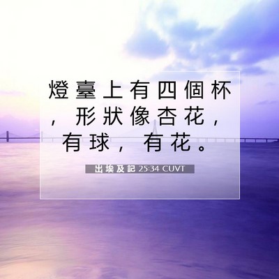 Picture 07 - 出 埃 及 記 25:34 CUVT - 燈 臺 上 有 四 個 杯 ， 形 狀 像 杏 - Bible Verse Picture