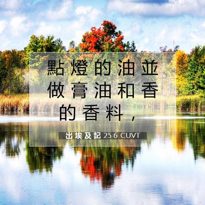 Picture 07 - 出 埃 及 記 25:6 CUVT - 點 燈 的 油 並 做 膏 油 和 香 的 香 - Bible Verse Picture