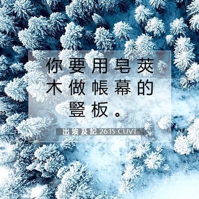 Picture 07 - 出 埃 及 記 26:15 CUVT - 你 要 用 皂 莢 木 做 帳 幕 的 豎 板 - Bible Verse Picture