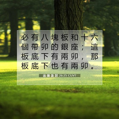 Picture 07 - 出 埃 及 記 26:25 CUVT - 必 有 八 塊 板 和 十 六 個 帶 卯 的 - Bible Verse Picture