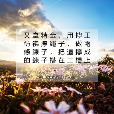 Picture 07 - 出 埃 及 記 28:14 CUVT - 又 拿 精 金 ， 用 擰 工 彷 彿 擰 繩 - Bible Verse Picture
