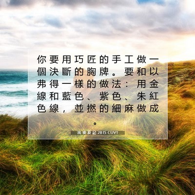 Picture 07 - 出 埃 及 記 28:15 CUVT - 你 要 用 巧 匠 的 手 工 做 一 個 決 - Bible Verse Picture
