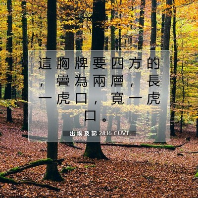 Picture 07 - 出 埃 及 記 28:16 CUVT - 這 胸 牌 要 四 方 的 ， 疊 為 兩 層 - Bible Verse Picture