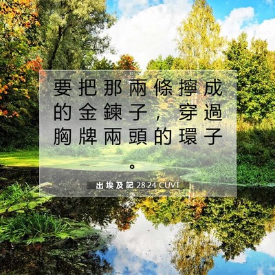 Picture 07 - 出 埃 及 記 28:24 CUVT - 要 把 那 兩 條 擰 成 的 金 鍊 子 ， - Bible Verse Picture