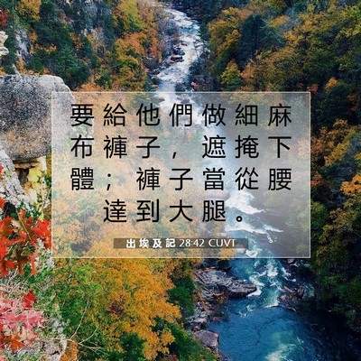 Picture 07 - 出 埃 及 記 28:42 CUVT - 要 給 他 們 做 細 麻 布 褲 子 ， 遮 - Bible Verse Picture