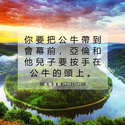 Picture 07 - 出 埃 及 記 29:10 CUVT - 你 要 把 公 牛 帶 到 會 幕 前 ， 亞 - Bible Verse Picture