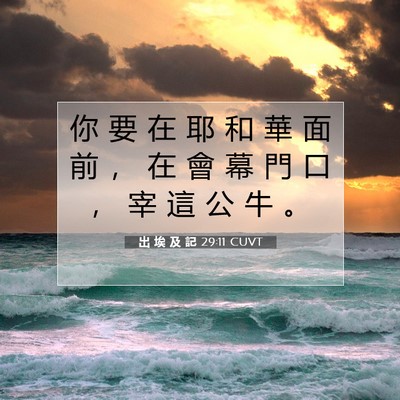 Picture 07 - 出 埃 及 記 29:11 CUVT - 你 要 在 耶 和 華 面 前 ， 在 會 幕 - Bible Verse Picture