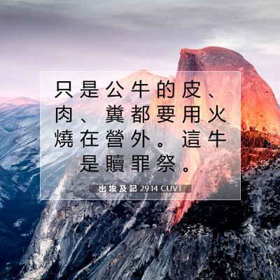 Picture 07 - 出 埃 及 記 29:14 CUVT - 只 是 公 牛 的 皮 、 肉 、 糞 都 要 - Bible Verse Picture