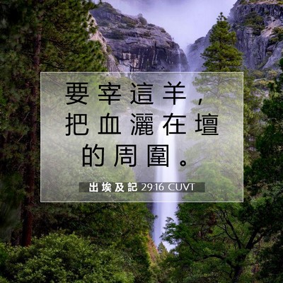Picture 07 - 出 埃 及 記 29:16 CUVT - 要 宰 這 羊 ， 把 血 灑 在 壇 的 周 - Bible Verse Picture