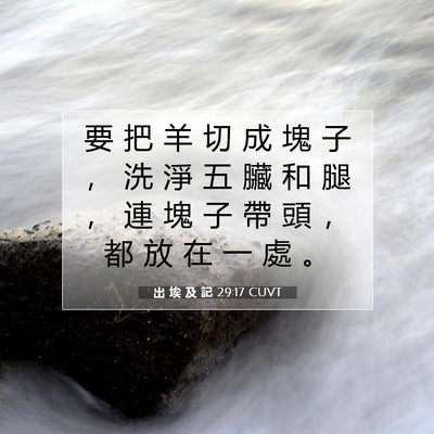 Picture 07 - 出 埃 及 記 29:17 CUVT - 要 把 羊 切 成 塊 子 ， 洗 淨 五 臟 - Bible Verse Picture