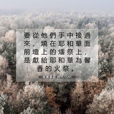 Picture 07 - 出 埃 及 記 29:25 CUVT - 要 從 他 們 手 中 接 過 來 ， 燒 在 - Bible Verse Picture