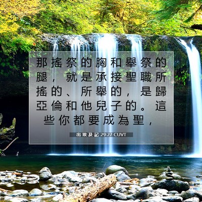 Picture 07 - 出 埃 及 記 29:27 CUVT - 那 搖 祭 的 胸 和 舉 祭 的 腿 ， 就 - Bible Verse Picture