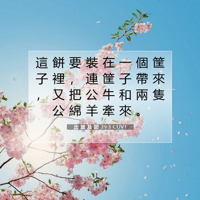 Picture 07 - 出 埃 及 記 29:3 CUVT - 這 餅 要 裝 在 一 個 筐 子 裡 ， 連 - Bible Verse Picture
