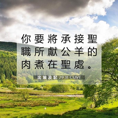 Picture 07 - 出 埃 及 記 29:31 CUVT - 你 要 將 承 接 聖 職 所 獻 公 羊 的 - Bible Verse Picture