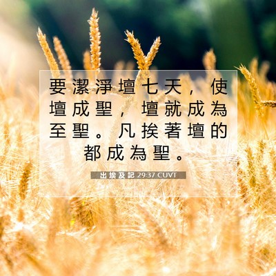 Picture 07 - 出 埃 及 記 29:37 CUVT - 要 潔 淨 壇 七 天 ， 使 壇 成 聖 ， - Bible Verse Picture