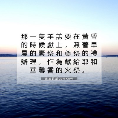 Picture 07 - 出 埃 及 記 29:41 CUVT - 那 一 隻 羊 羔 要 在 黃 昏 的 時 候 - Bible Verse Picture