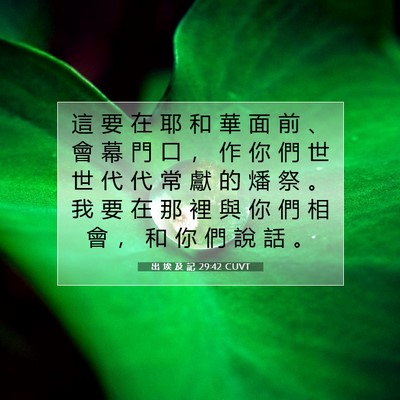 Picture 07 - 出 埃 及 記 29:42 CUVT - 這 要 在 耶 和 華 面 前 、 會 幕 門 - Bible Verse Picture