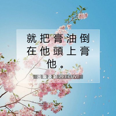 Picture 07 - 出 埃 及 記 29:7 CUVT - 就 把 膏 油 倒 在 他 頭 上 膏 他 - Bible Verse Picture