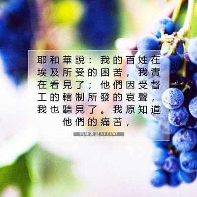 Picture 07 - 出 埃 及 記 3:7 CUVT - 耶 和 華 說 ： 我 的 百 姓 在 埃 及 - Bible Verse Picture