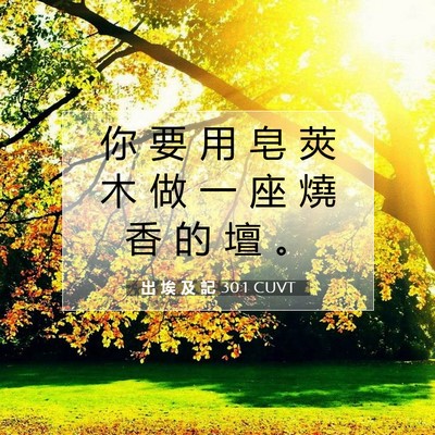 Picture 07 - 出 埃 及 記 30:1 CUVT - 你 要 用 皂 莢 木 做 一 座 燒 香 的 - Bible Verse Picture