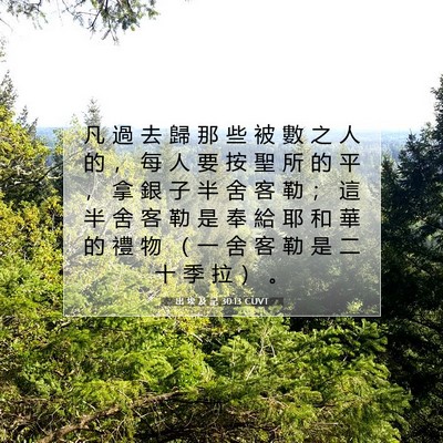 Picture 07 - 出 埃 及 記 30:13 CUVT - 凡 過 去 歸 那 些 被 數 之 人 的 ， - Bible Verse Picture