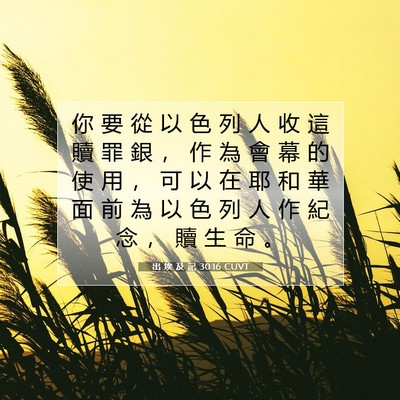 Picture 07 - 出 埃 及 記 30:16 CUVT - 你 要 從 以 色 列 人 收 這 贖 罪 銀 - Bible Verse Picture
