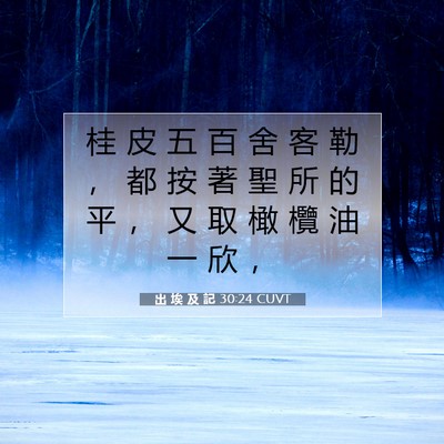 Picture 07 - 出 埃 及 記 30:24 CUVT - 桂 皮 五 百 舍 客 勒 ， 都 按 著 聖 - Bible Verse Picture