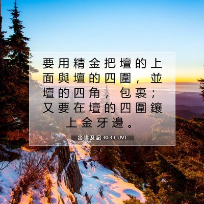 Picture 07 - 出 埃 及 記 30:3 CUVT - 要 用 精 金 把 壇 的 上 面 與 壇 的 - Bible Verse Picture