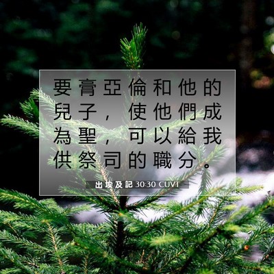 Picture 07 - 出 埃 及 記 30:30 CUVT - 要 膏 亞 倫 和 他 的 兒 子 ， 使 他 - Bible Verse Picture