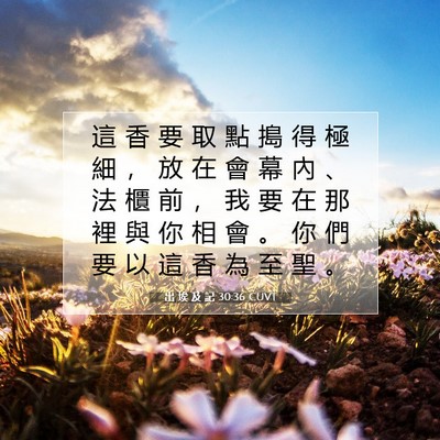 Picture 07 - 出 埃 及 記 30:36 CUVT - 這 香 要 取 點 搗 得 極 細 ， 放 在 - Bible Verse Picture