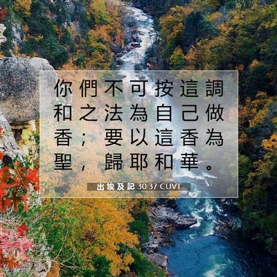 Picture 07 - 出 埃 及 記 30:37 CUVT - 你 們 不 可 按 這 調 和 之 法 為 自 - Bible Verse Picture