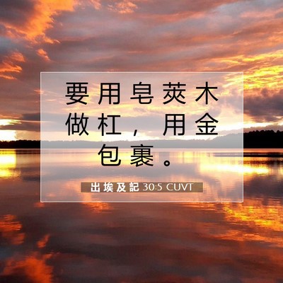 Picture 07 - 出 埃 及 記 30:5 CUVT - 要 用 皂 莢 木 做 杠 ， 用 金 包 裹 - Bible Verse Picture