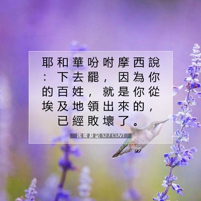 Picture 07 - 出 埃 及 記 32:7 CUVT - 耶 和 華 吩 咐 摩 西 說 ： 下 去 罷 - Bible Verse Picture