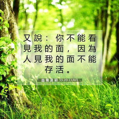 Picture 07 - 出 埃 及 記 33:20 CUVT - 又 說 ： 你 不 能 看 見 我 的 面 ， - Bible Verse Picture