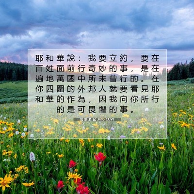 Picture 07 - 出 埃 及 記 34:10 CUVT - 耶 和 華 說 ： 我 要 立 約 ， 要 在 - Bible Verse Picture