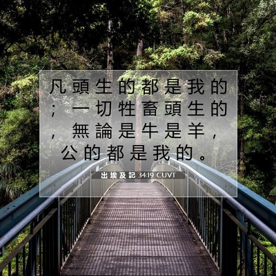 Picture 07 - 出 埃 及 記 34:19 CUVT - 凡 頭 生 的 都 是 我 的 ； 一 切 牲 - Bible Verse Picture