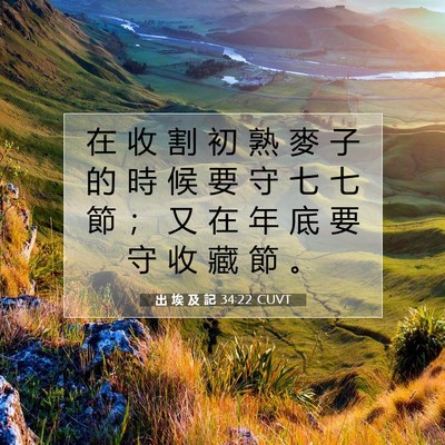 Picture 07 - 出 埃 及 記 34:22 CUVT - 在 收 割 初 熟 麥 子 的 時 候 要 守 - Bible Verse Picture